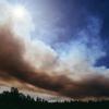 Forest fire smoke Tuolumne County, California.